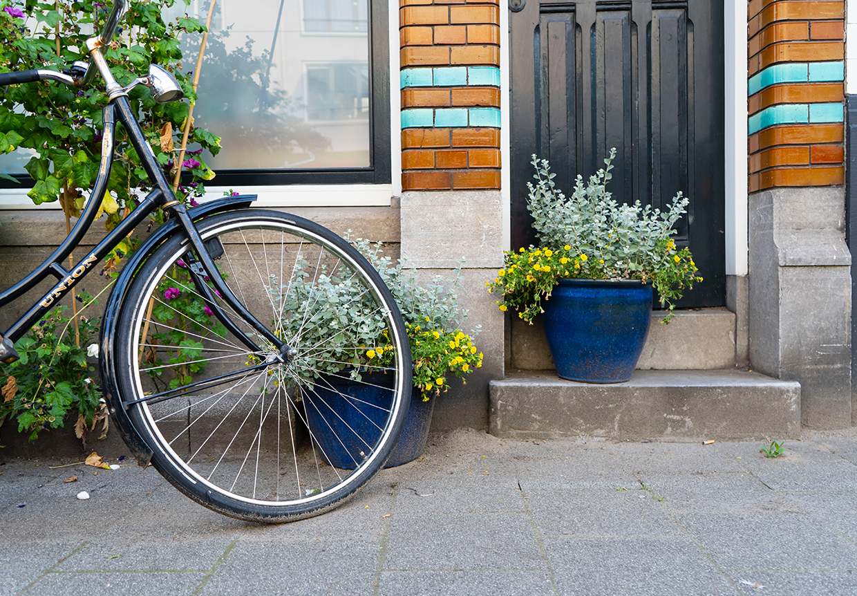 Bycicle 1240x862